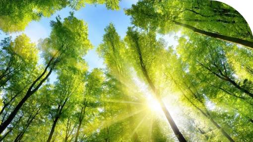 Investments - Consilium Solar Bond 2025/2030